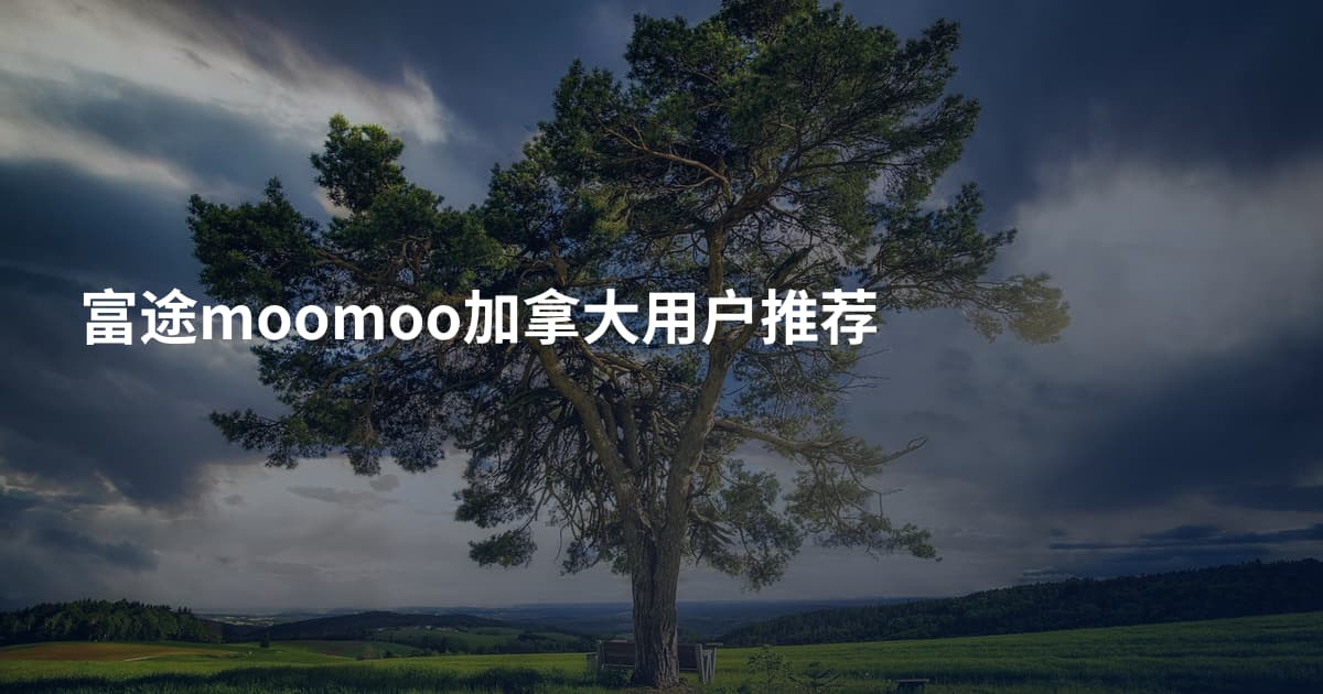 富途moomoo加拿大用户推荐