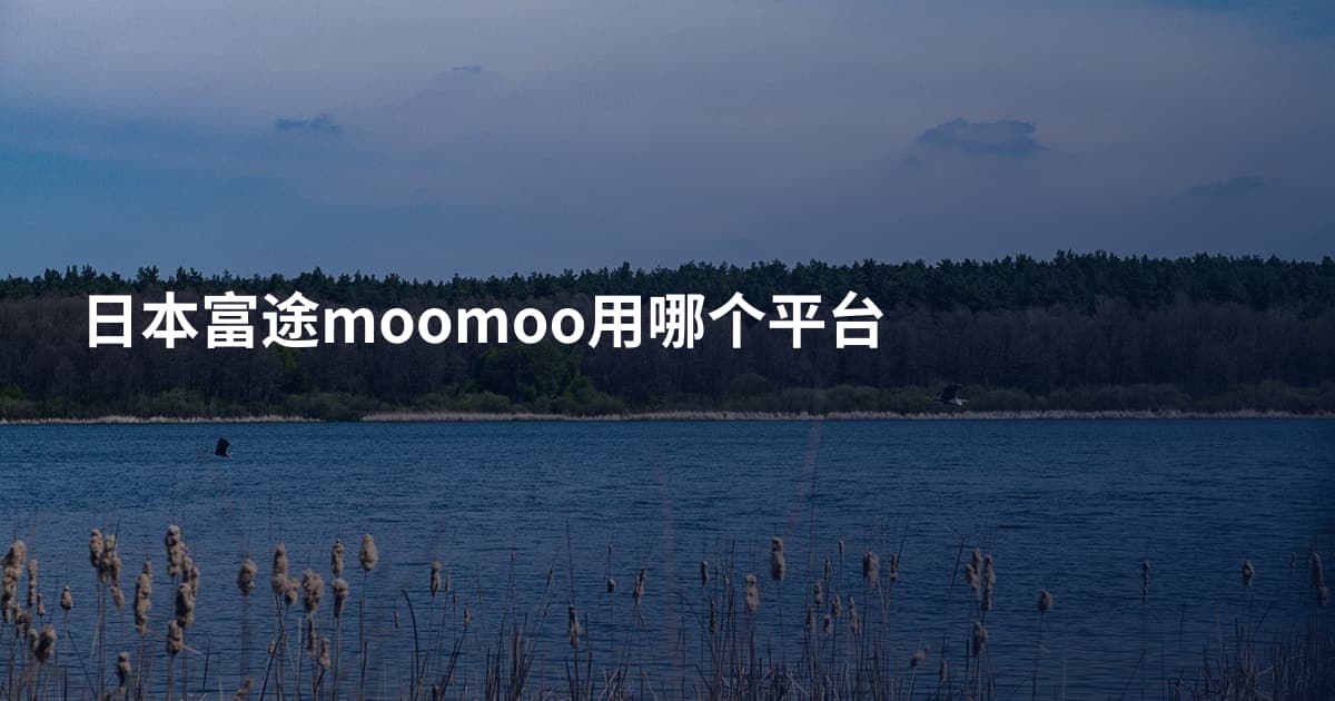 日本富途moomoo用哪个平台