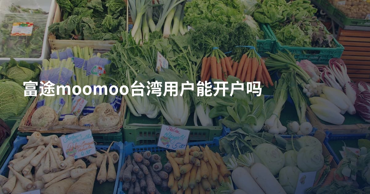 富途moomoo台湾用户能开户吗
