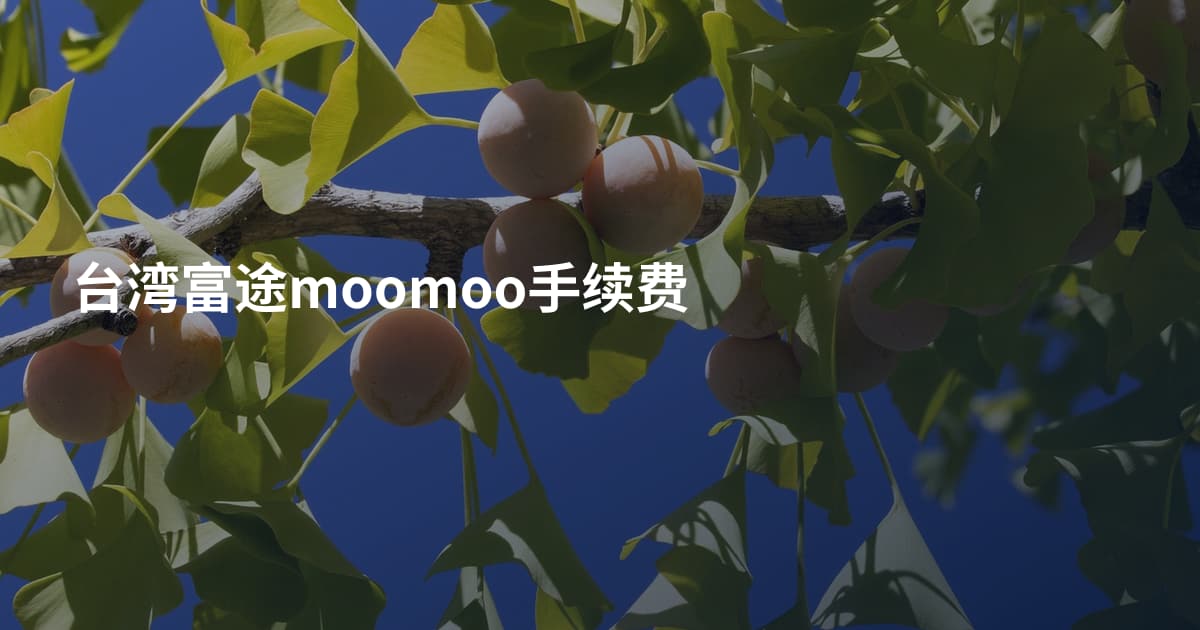 台湾富途moomoo手续费