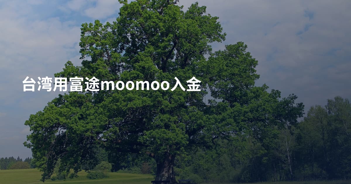 台湾用富途moomoo入金