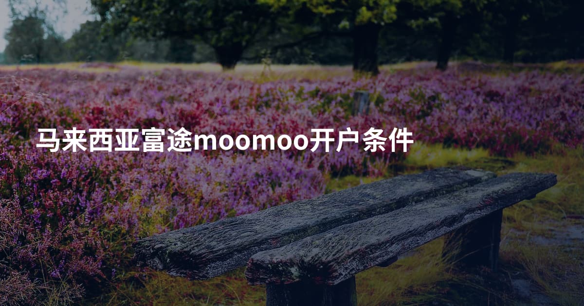 马来西亚富途moomoo开户条件