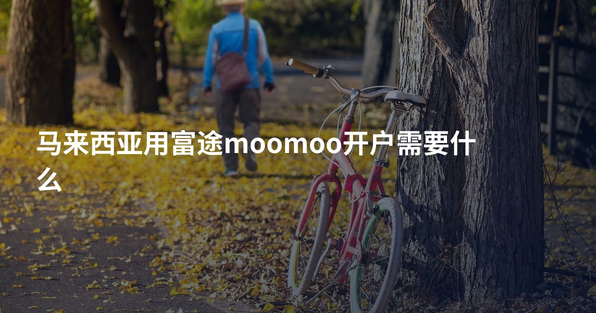 马来西亚用富途moomoo开户需要什么