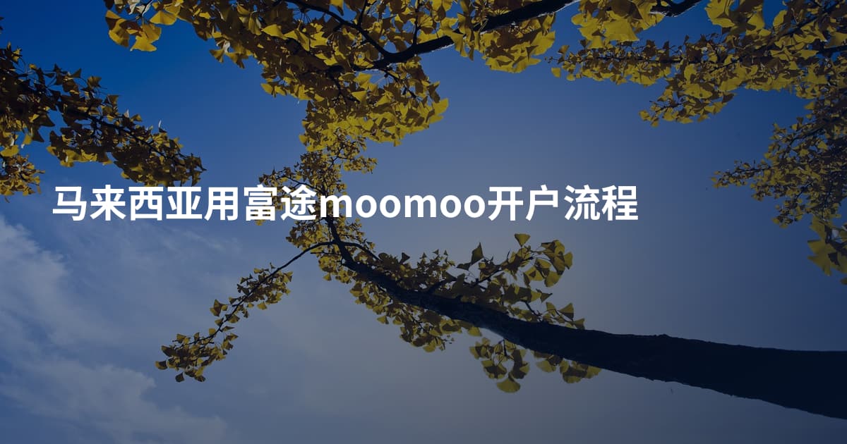 马来西亚用富途moomoo开户流程
