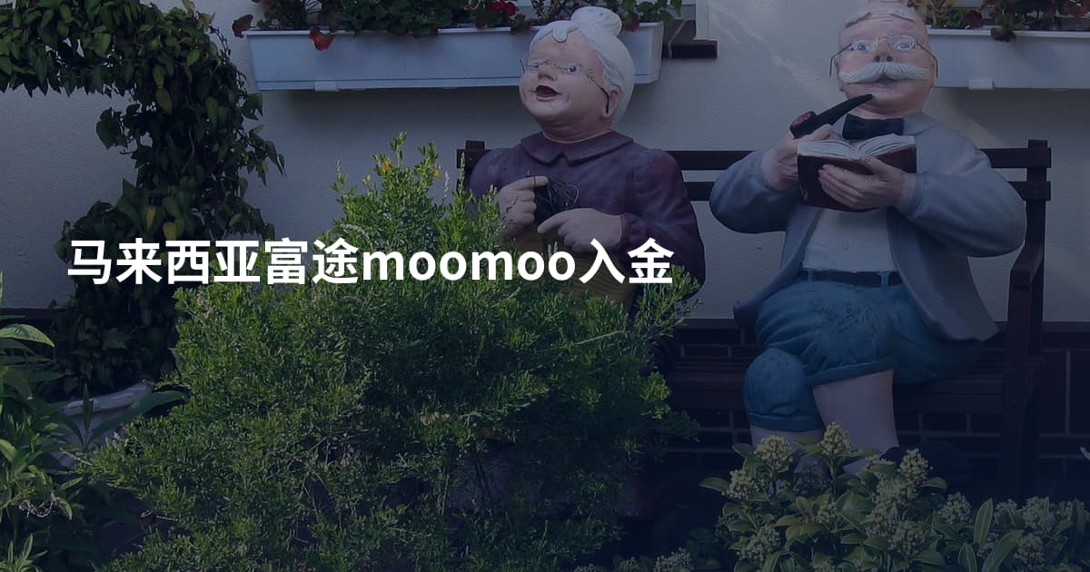 马来西亚富途moomoo入金