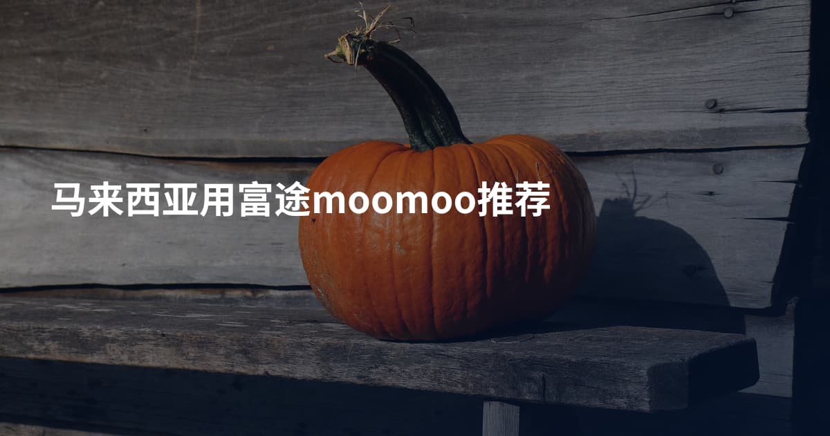 马来西亚用富途moomoo推荐