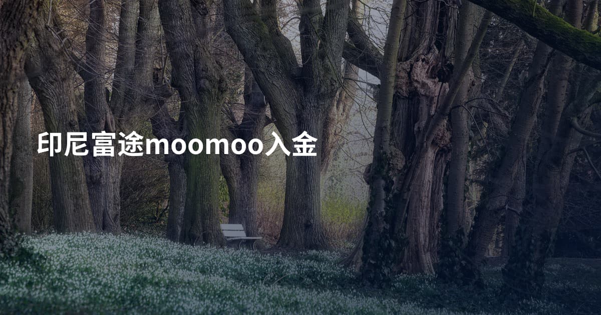印尼富途moomoo入金