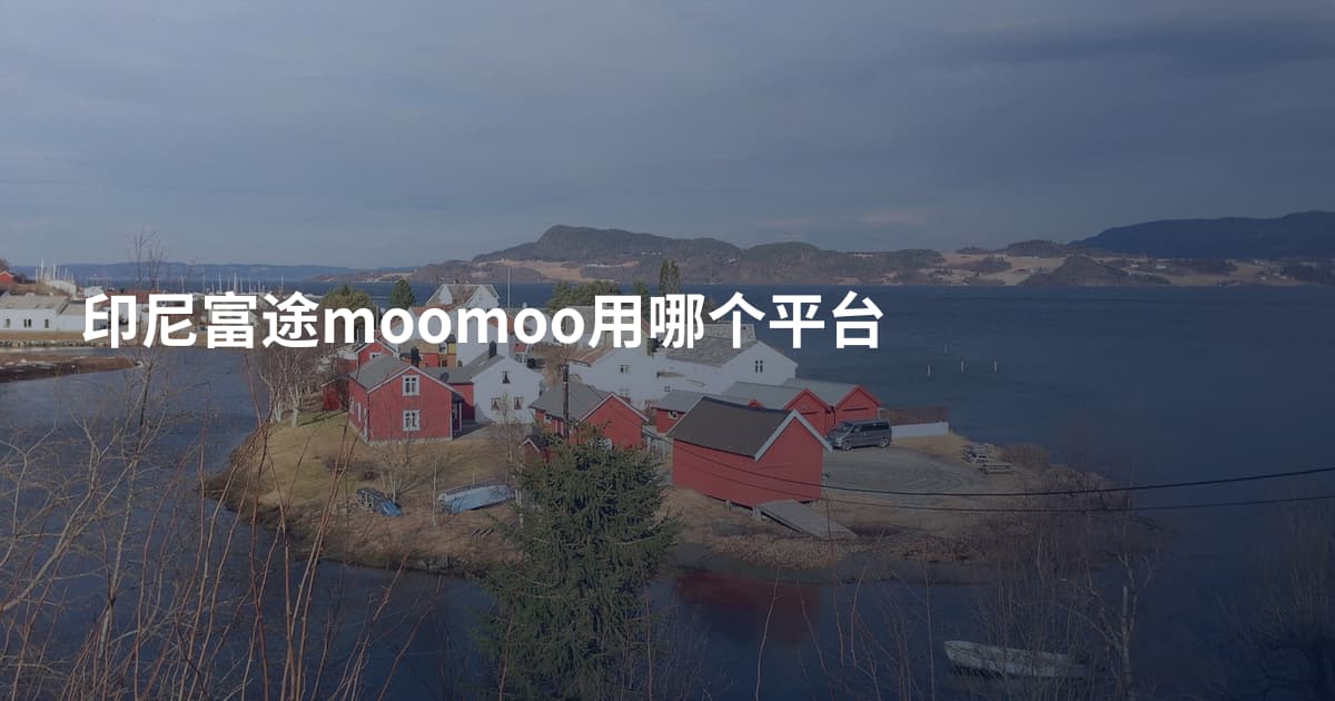 印尼富途moomoo用哪个平台