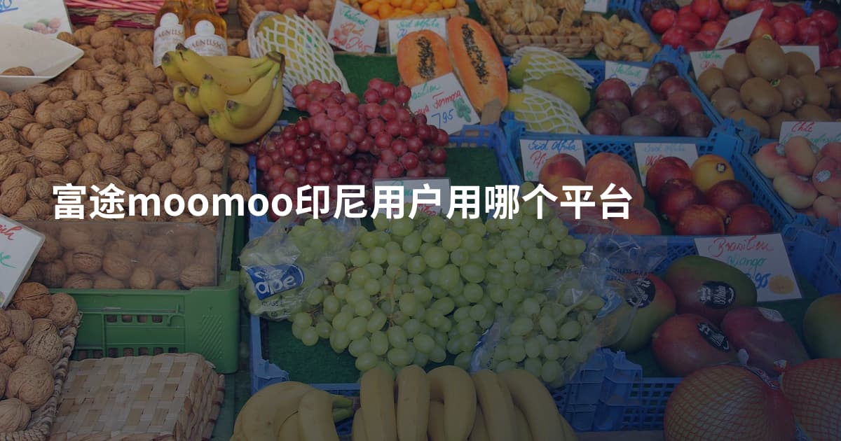 富途moomoo印尼用户用哪个平台