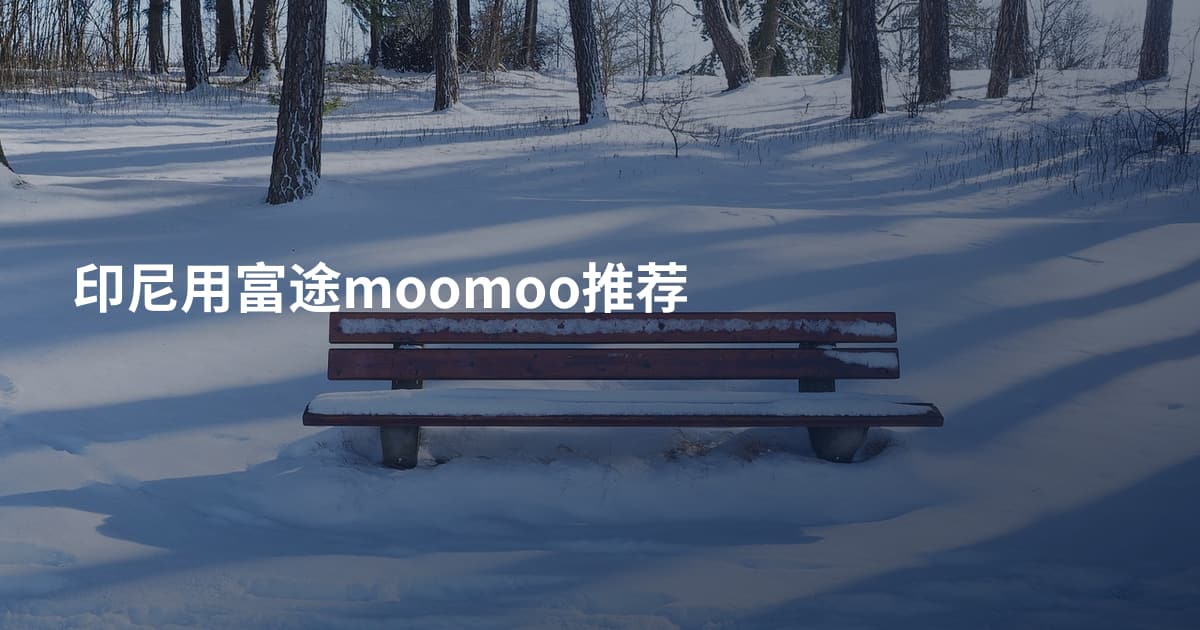 印尼用富途moomoo推荐