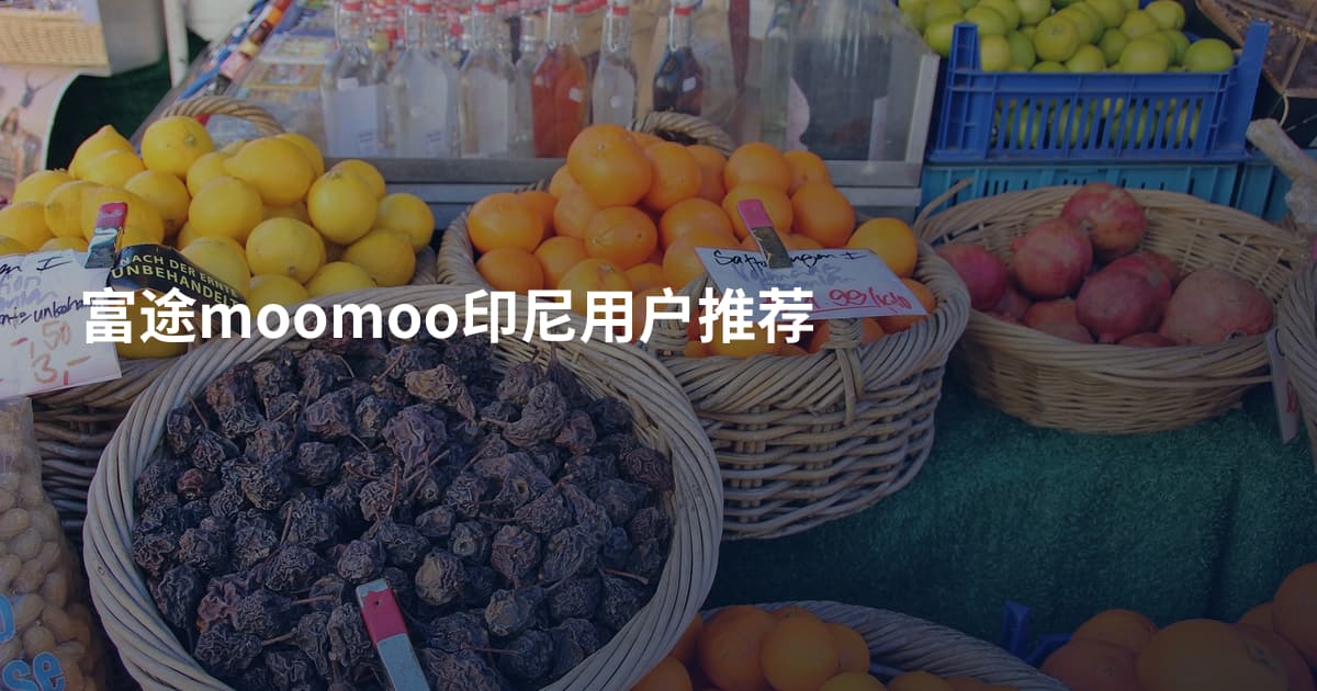 富途moomoo印尼用户推荐