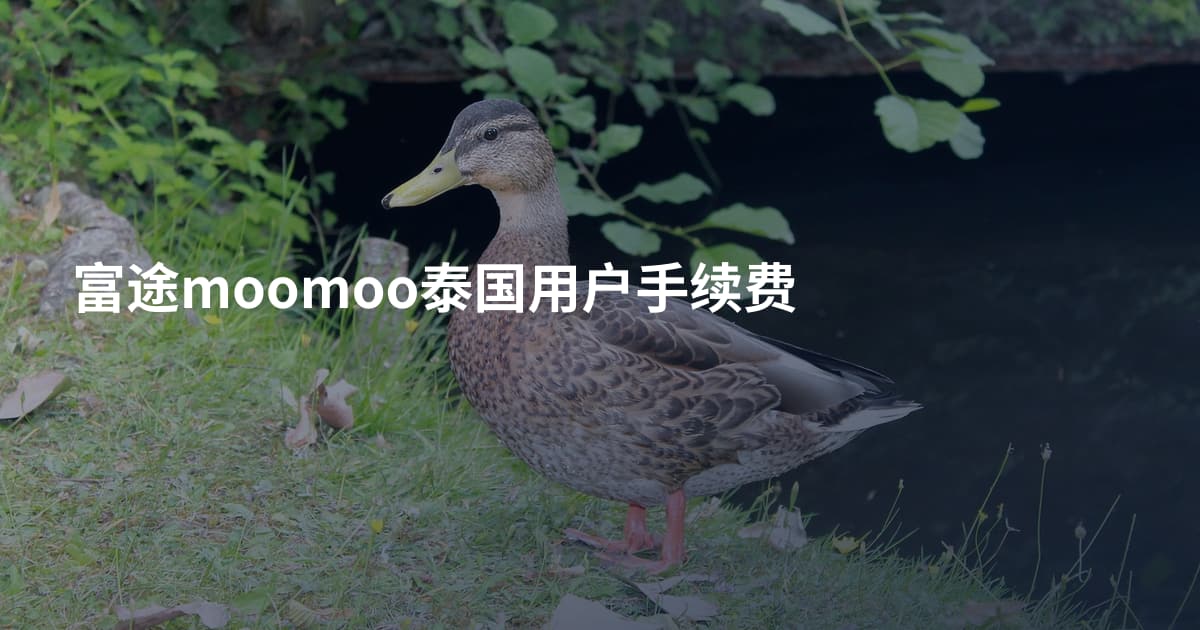 富途moomoo泰国用户手续费