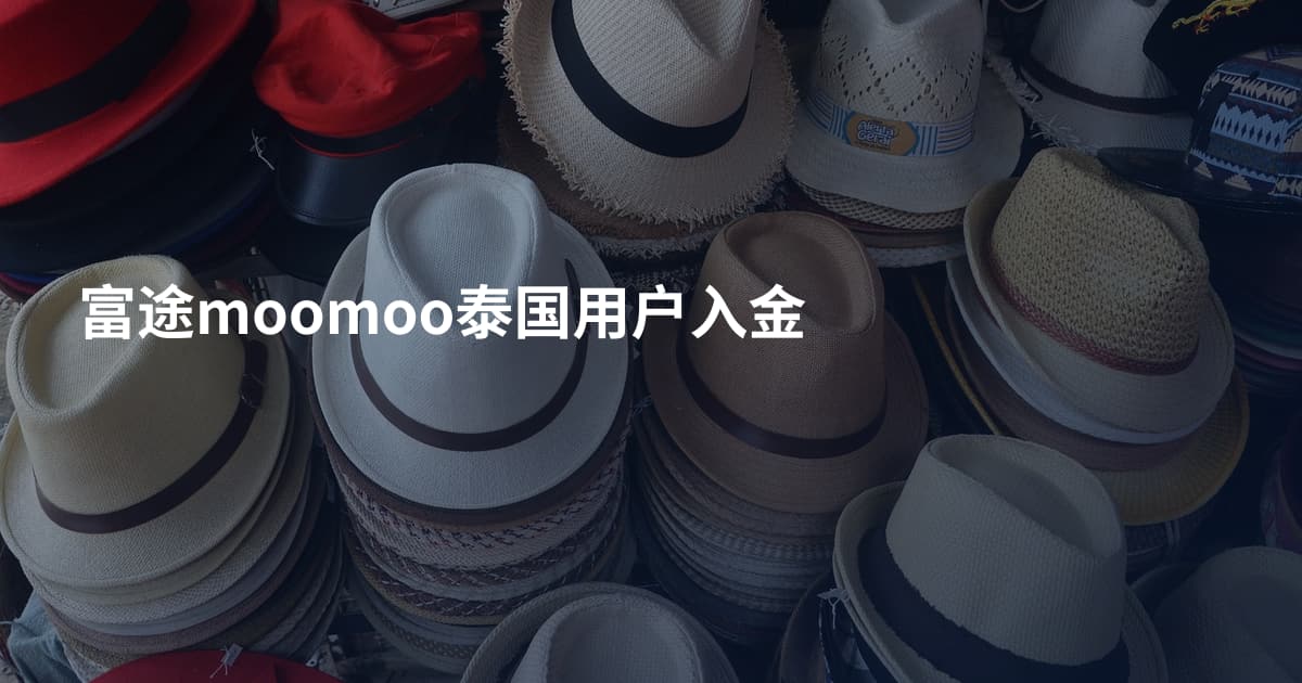 富途moomoo泰国用户入金