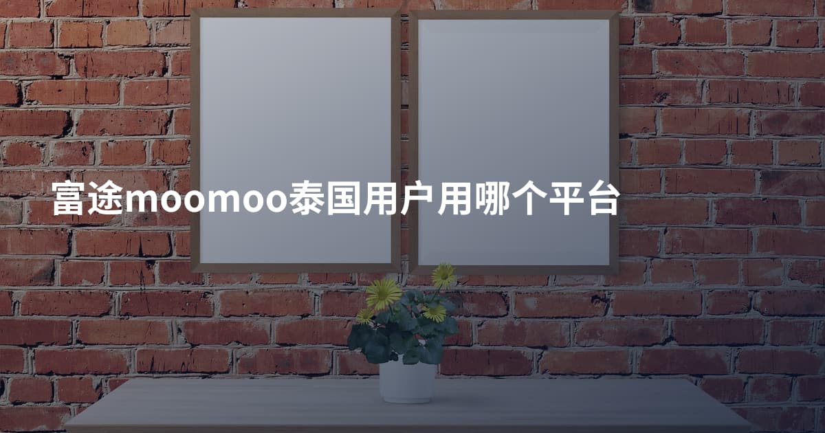 富途moomoo泰国用户用哪个平台