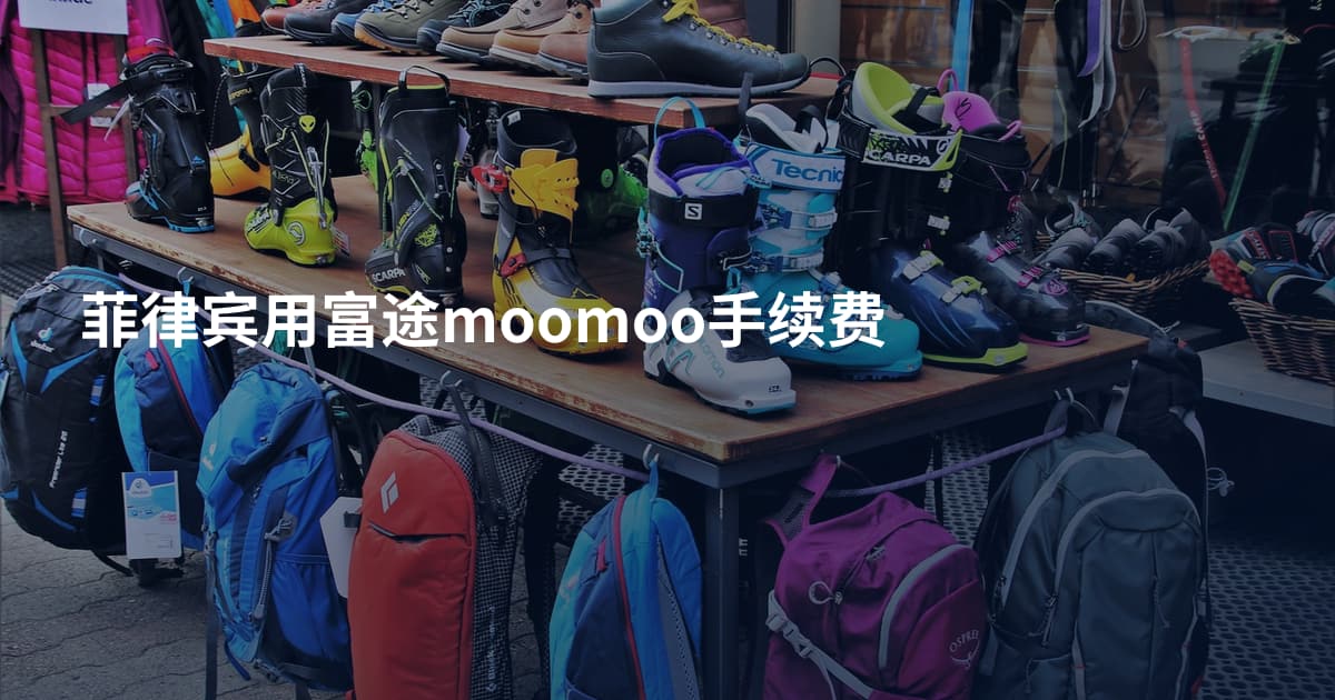 菲律宾用富途moomoo手续费