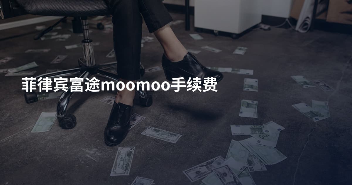 菲律宾富途moomoo手续费