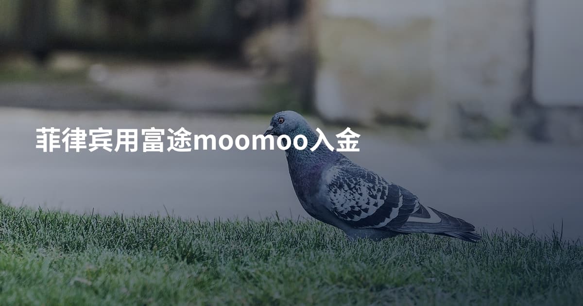 菲律宾用富途moomoo入金