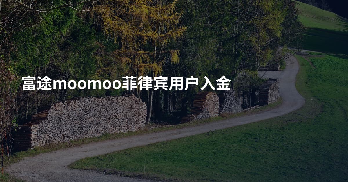 富途moomoo菲律宾用户入金