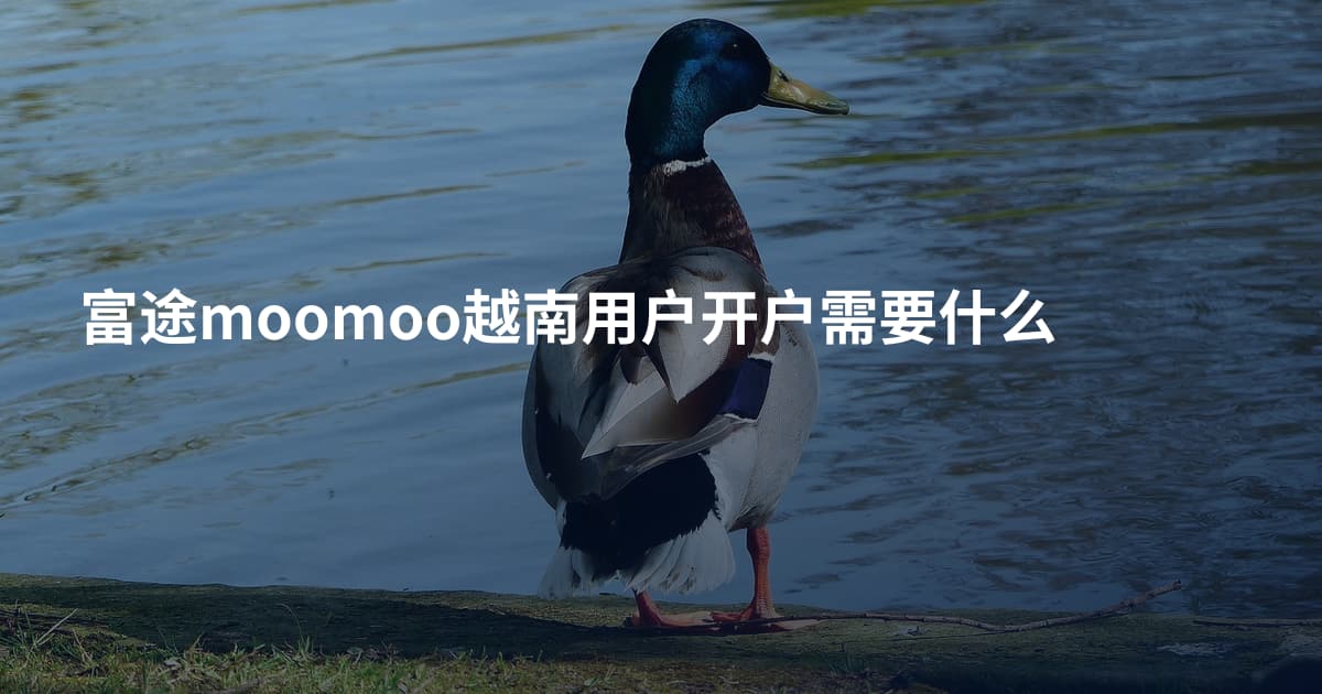 富途moomoo越南用户开户需要什么