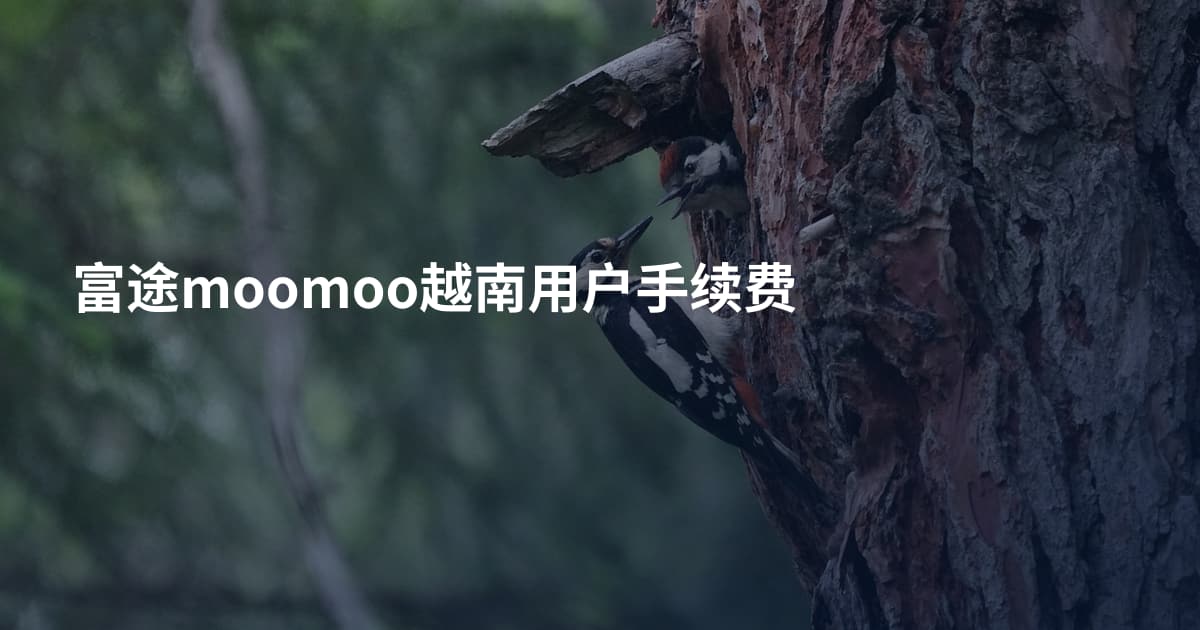富途moomoo越南用户手续费