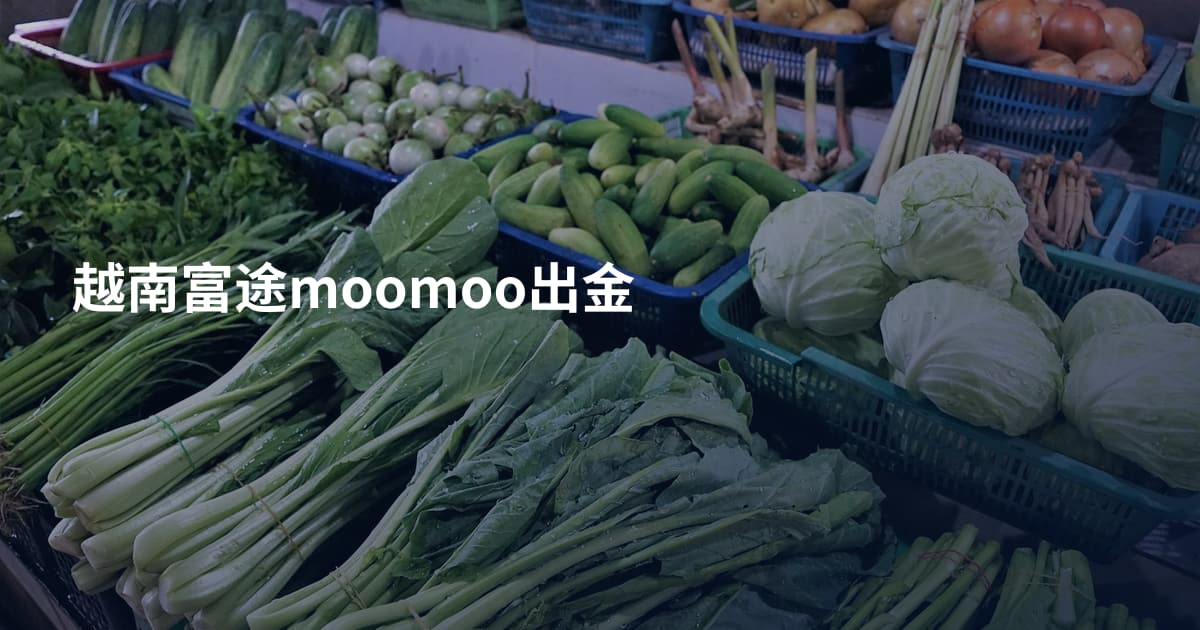越南富途moomoo出金
