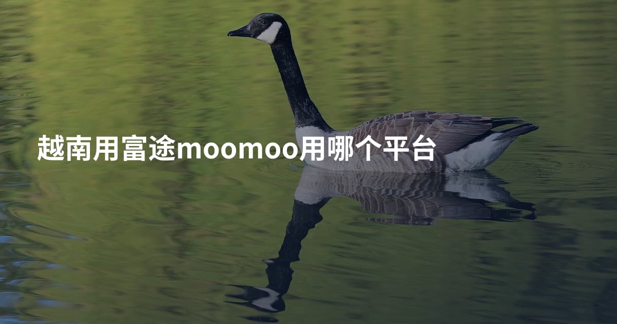 越南用富途moomoo用哪个平台