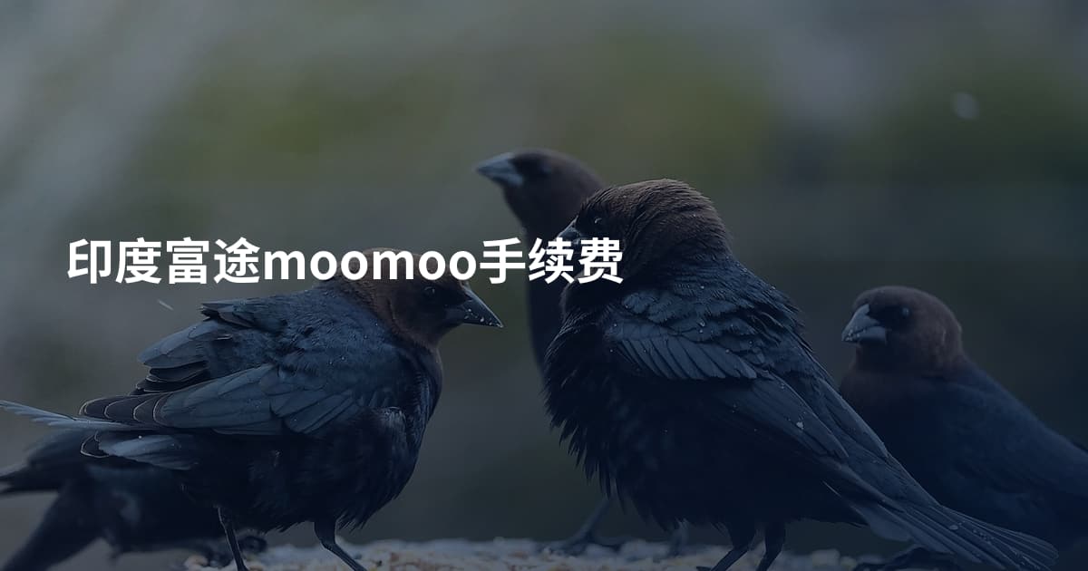 印度富途moomoo手续费
