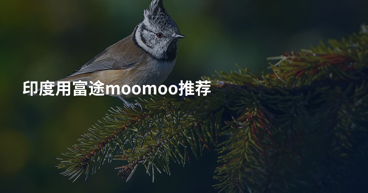 印度用富途moomoo推荐
