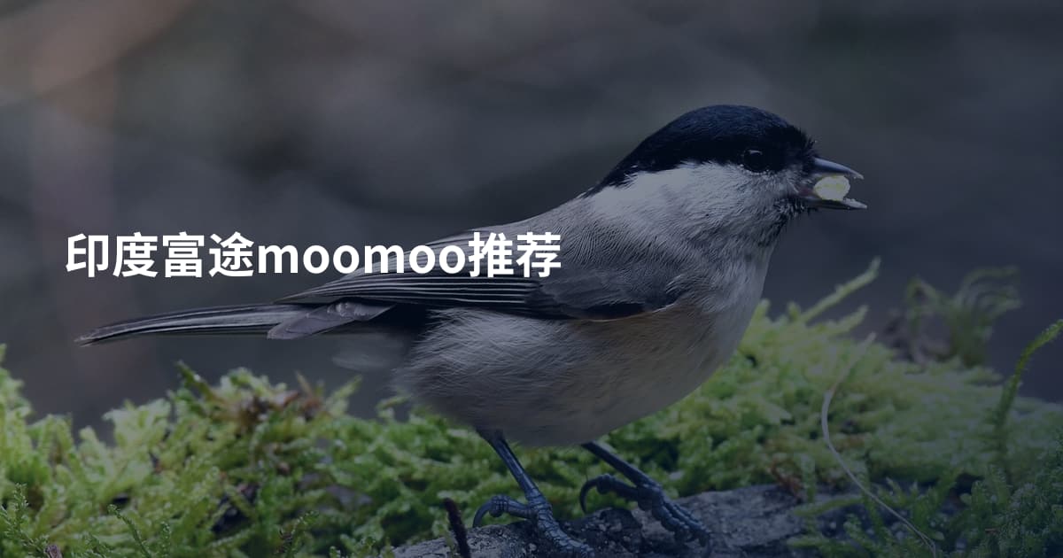 印度富途moomoo推荐