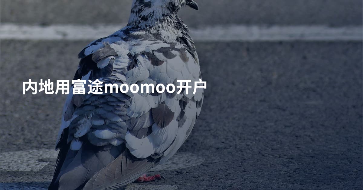 内地用富途moomoo开户