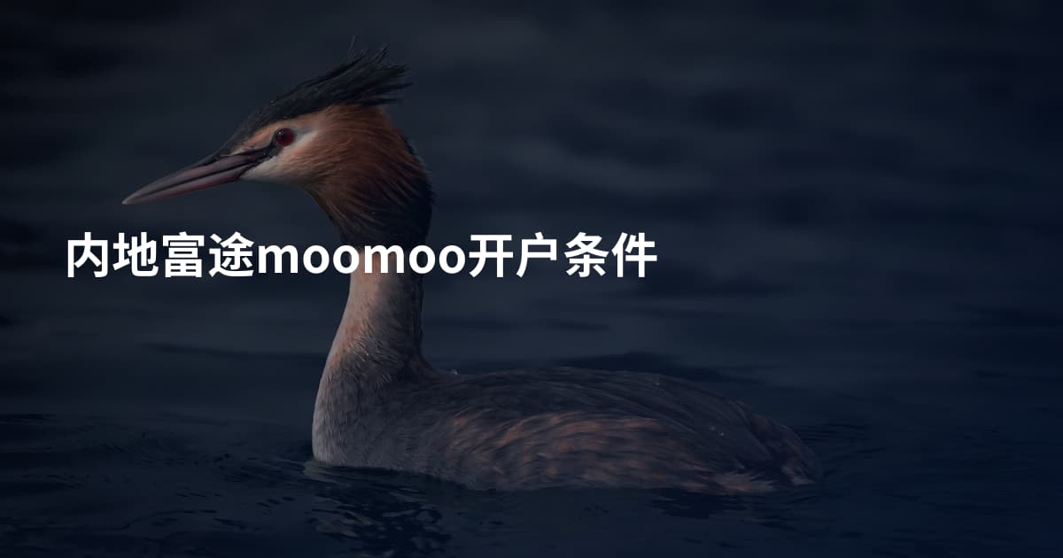内地富途moomoo开户条件
