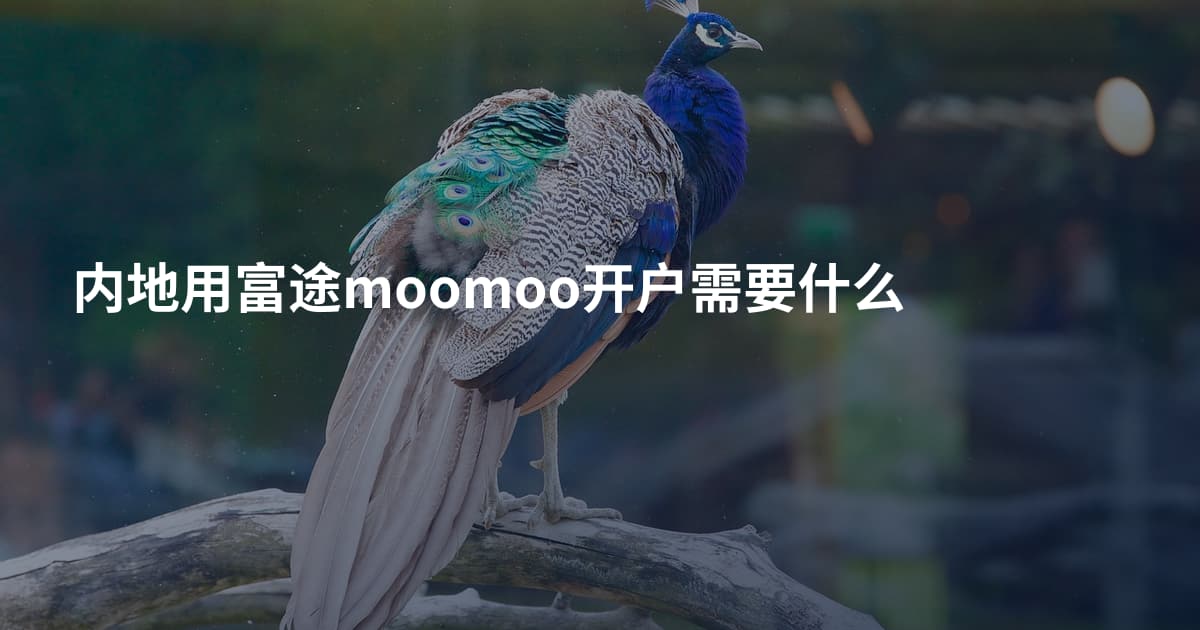 内地用富途moomoo开户需要什么