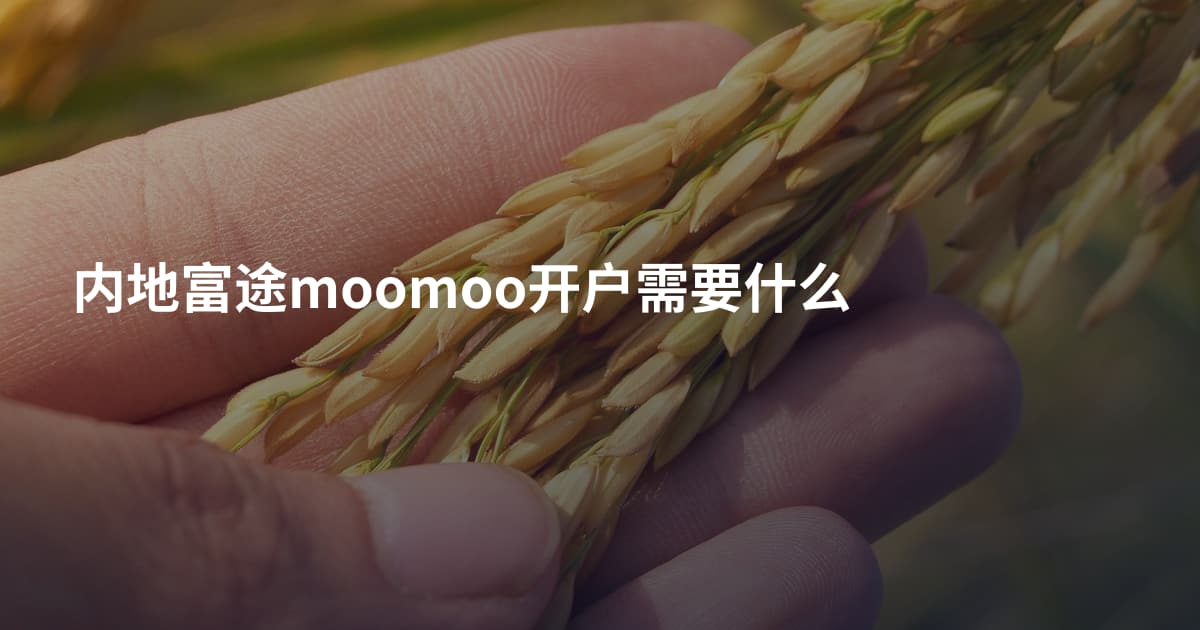 内地富途moomoo开户需要什么