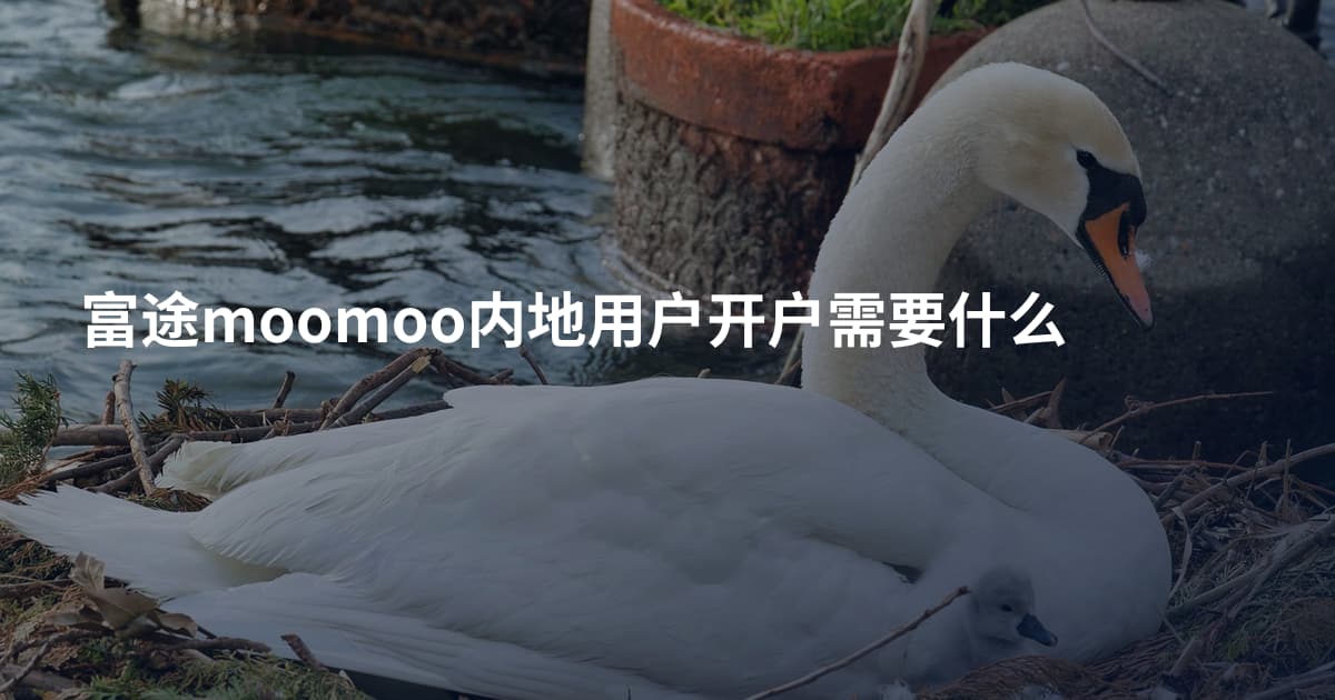 富途moomoo内地用户开户需要什么