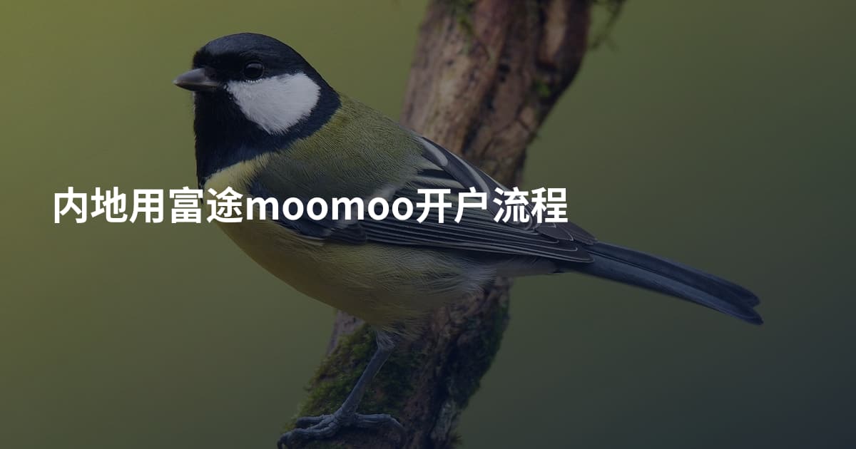 内地用富途moomoo开户流程