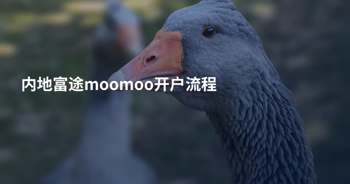 内地富途moomoo开户流程