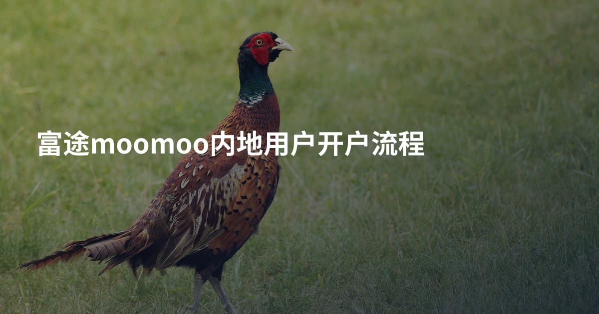富途moomoo内地用户开户流程