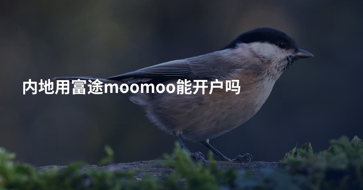 内地用富途moomoo能开户吗