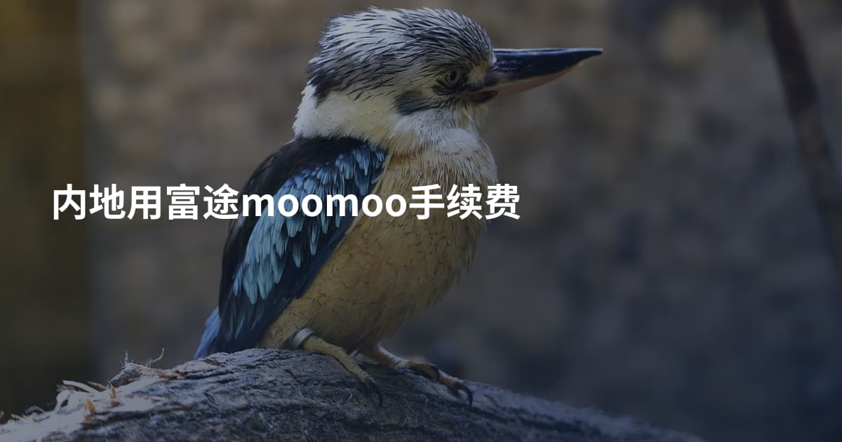 内地用富途moomoo手续费