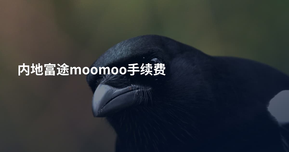 内地富途moomoo手续费