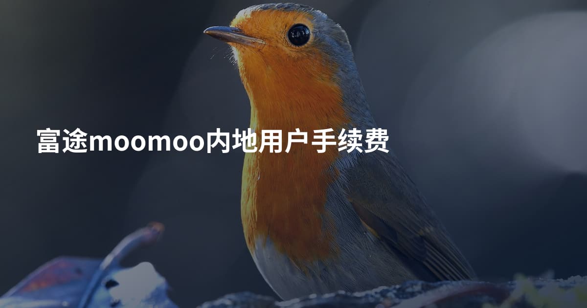 富途moomoo内地用户手续费