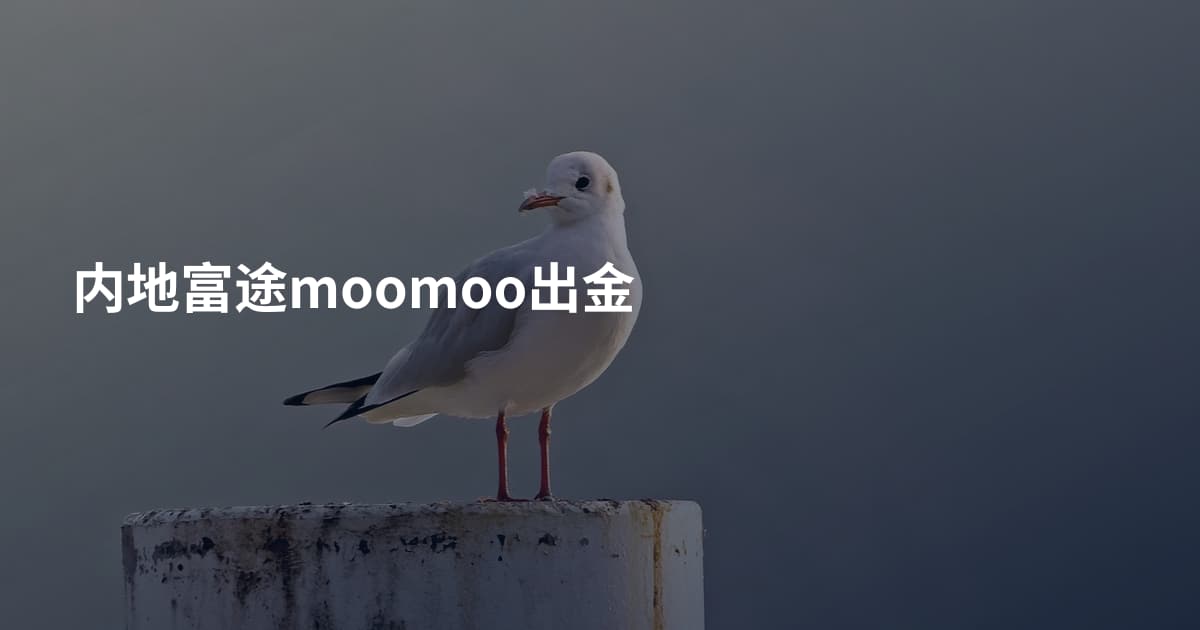 内地富途moomoo出金