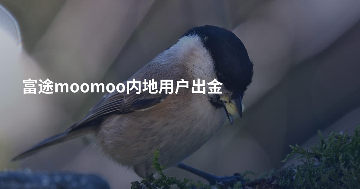 富途moomoo内地用户出金