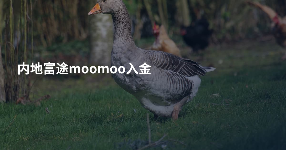 内地富途moomoo入金