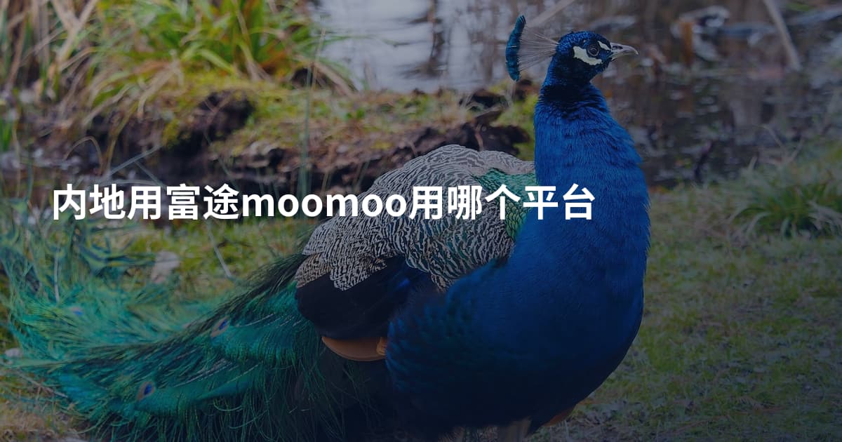 内地用富途moomoo用哪个平台