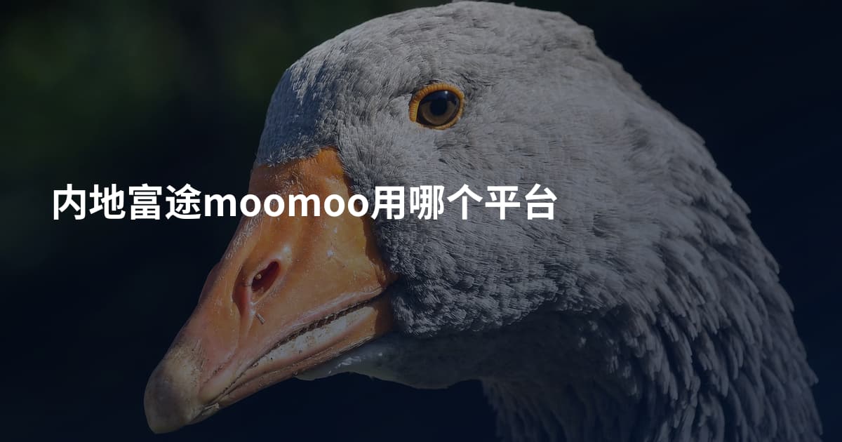内地富途moomoo用哪个平台