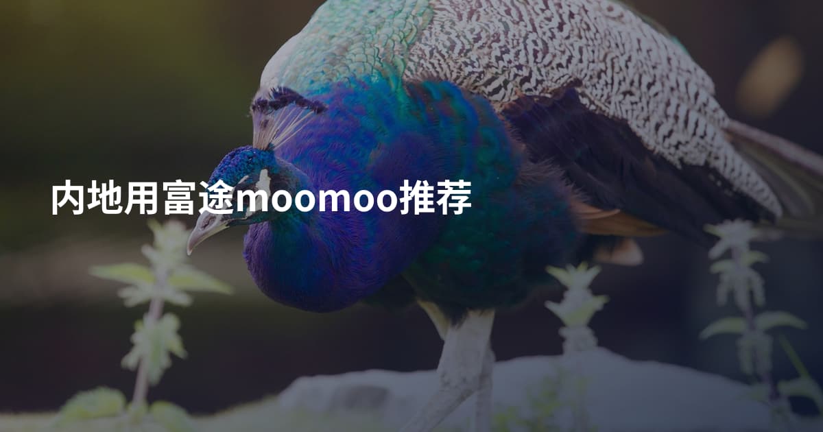 内地用富途moomoo推荐