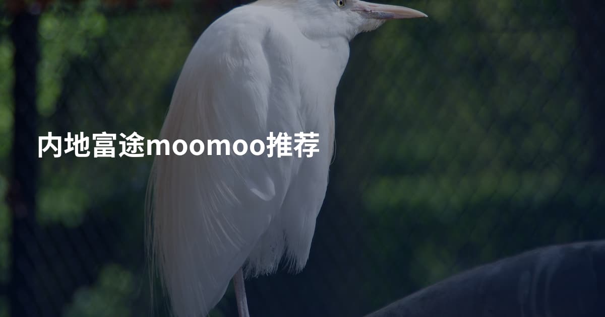 内地富途moomoo推荐