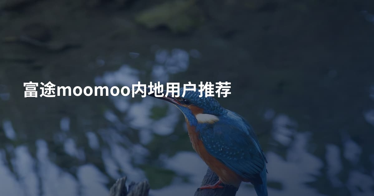 富途moomoo内地用户推荐
