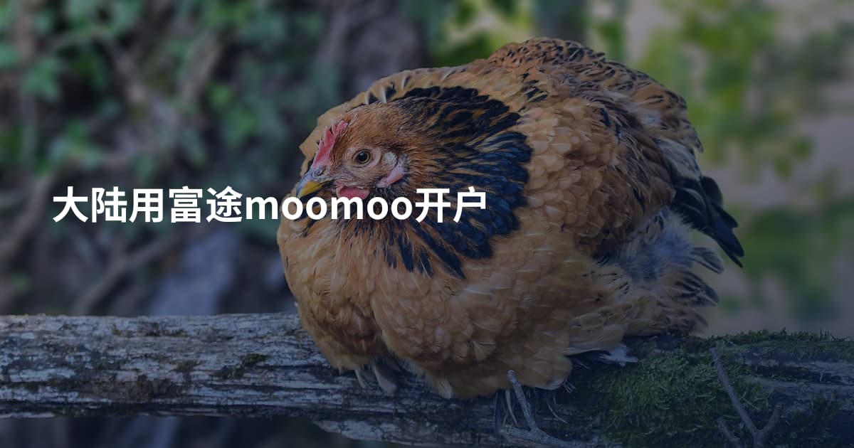 大陆用富途moomoo开户